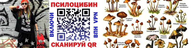 что такое   Магнитогорск  мега зеркало  Псилоцибиновые грибы Psilocybe 